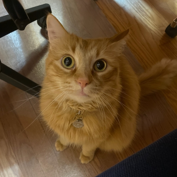 Meet your Posher, Dana - Picture 11 of 16